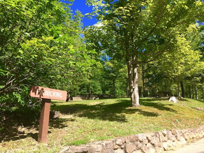 Rocky Bluff Campground 8