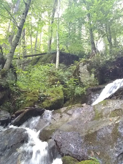 Rocky Bluff Campground 9