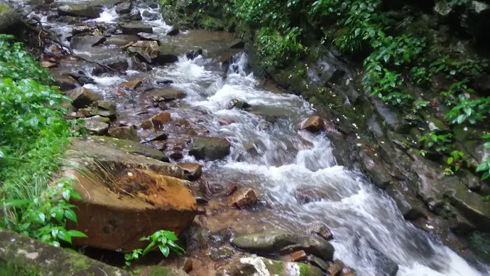 Weavers Bend 9