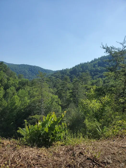 Paint Creek Campground 5