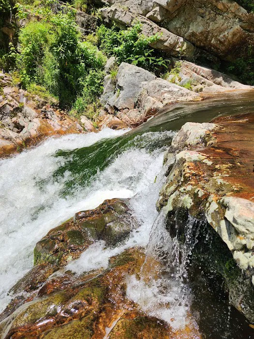 Paint Creek Campground 6