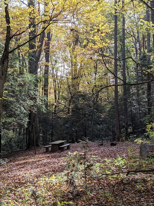 Round Mountain Campground 2