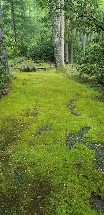 Round Mountain Campground 8