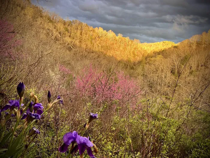 Mountain Paradise 1