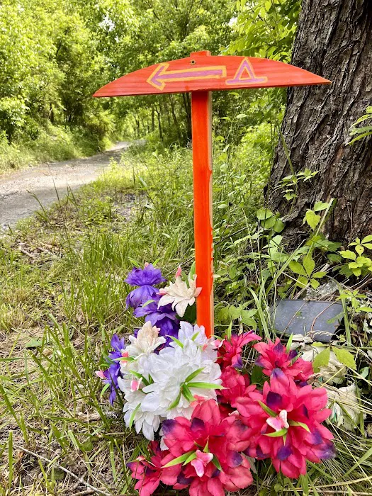 Mountain Paradise 6