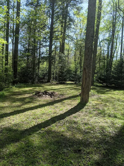Tall Timbers Campground 3