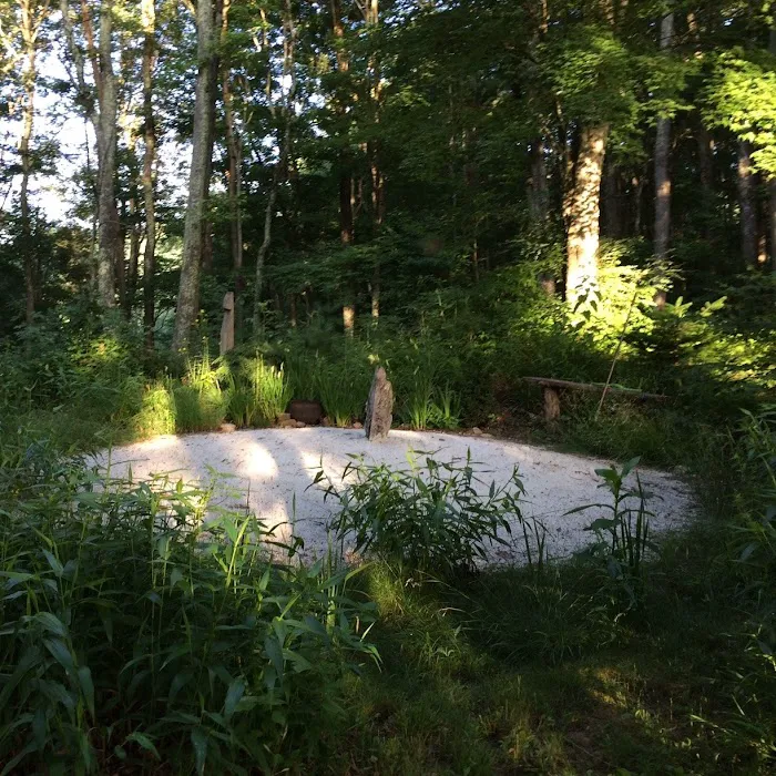 Green Heart Forest 1