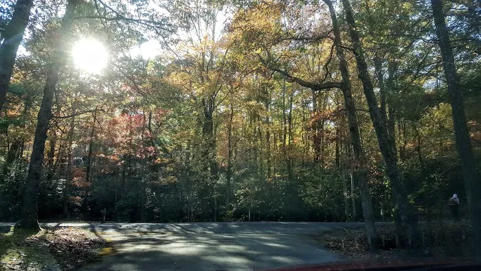 Horse Creek Campground 0
