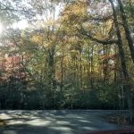 Horse Creek Campground