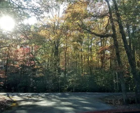 Horse Creek Campground