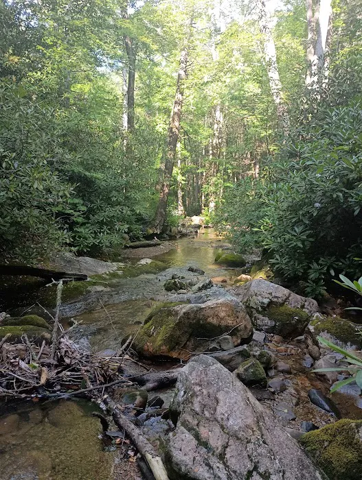 Horse Creek Campground 2