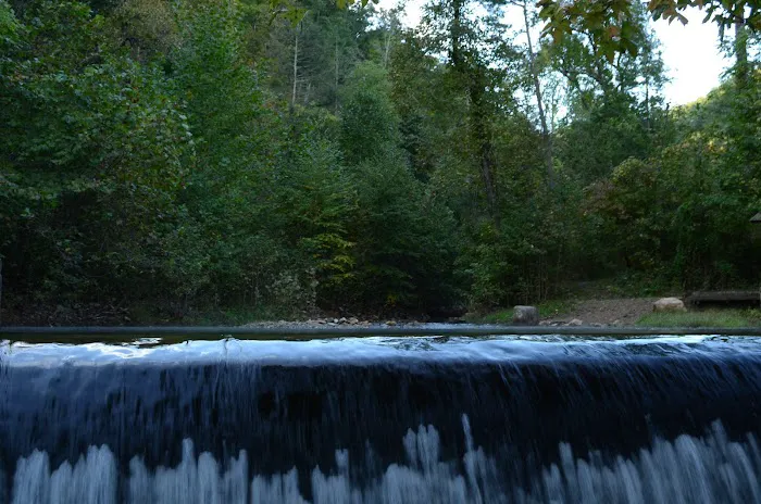 Horse Creek Campground 6