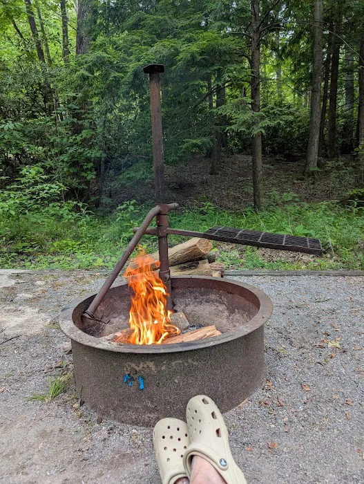 Horse Creek Campground 3