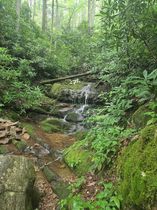 Round Knob Picnic Area 3