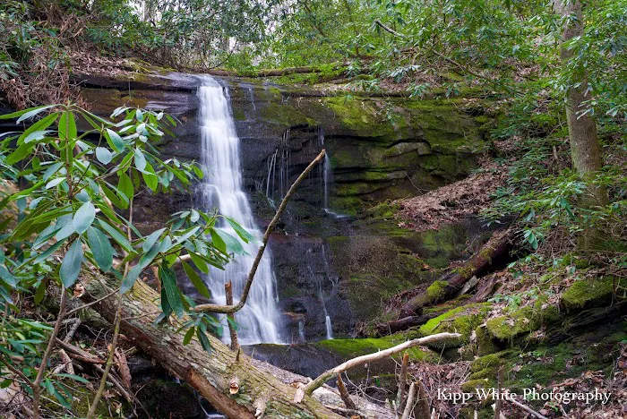 Round Knob Picnic Area 7