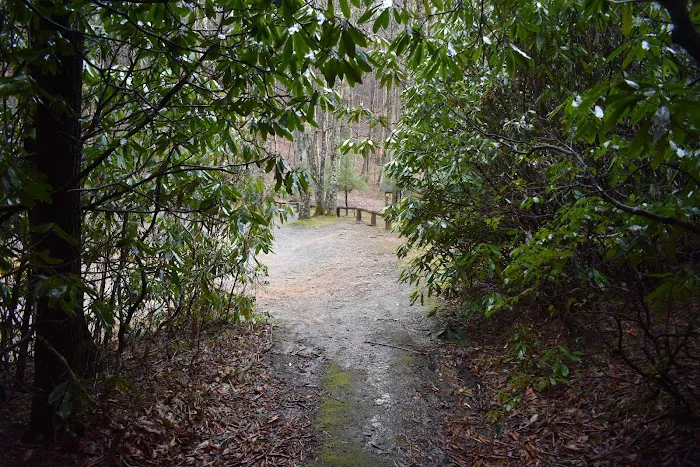 Round Knob Picnic Area 8