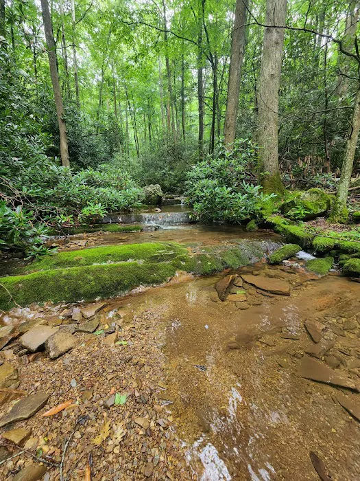 Round Knob Picnic Area 9