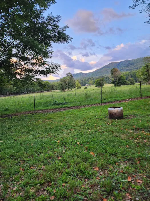 Pebble Mountain Family Campground 4