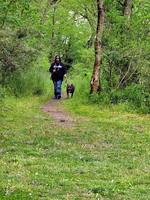 David Crockett Birthplace State Park Campground 5