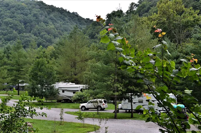 Mountain Pass Campground 2