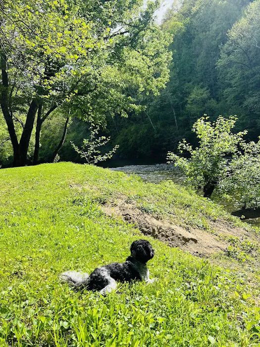 Mountain Pass Campground 6