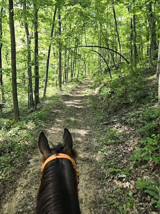 Rock Bottom Horse Camp 8