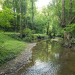 Out on the creek Rv park