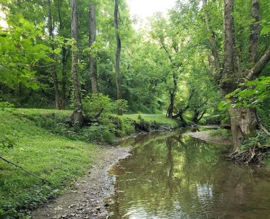 Out on the creek Rv park