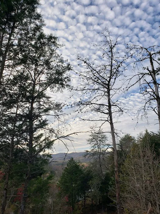 Out on the creek Rv park 3