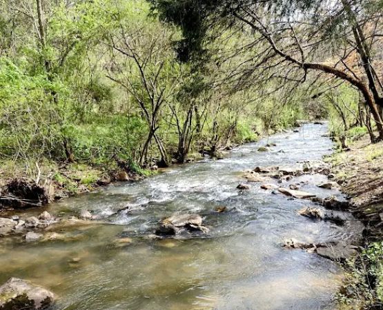 Long Creek Haven