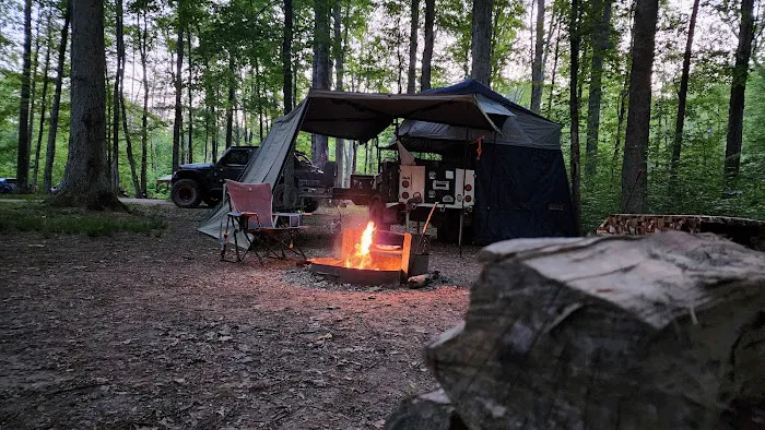 Yellowwood State Forest Camp Sites 0