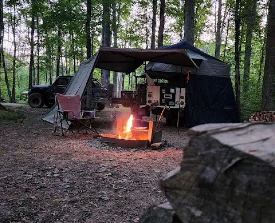 Yellowwood State Forest Camp Sites