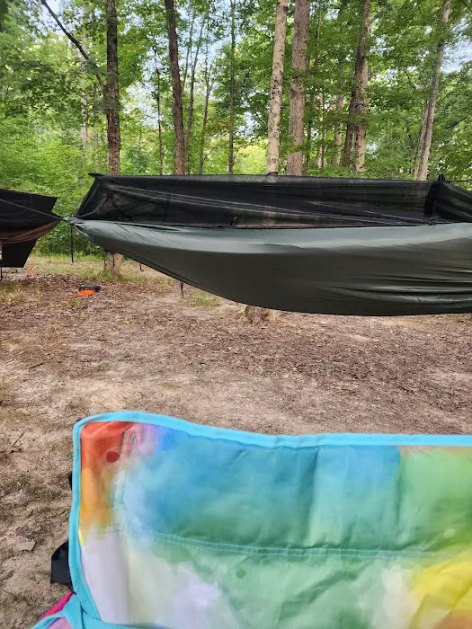Yellowwood State Forest Camp Sites 5