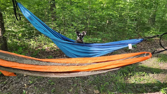 Yellowwood State Forest Camp Sites 4