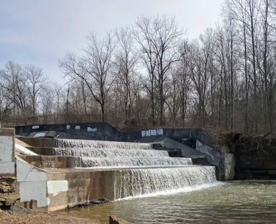 Yellowwood Campground