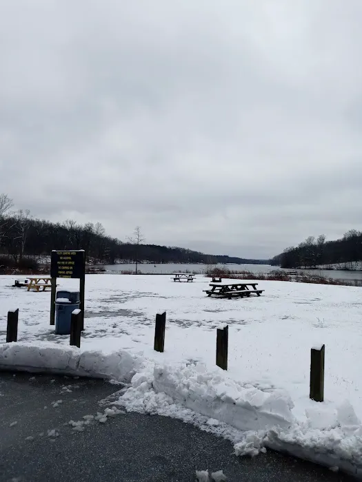 Yellowwood Campground 3