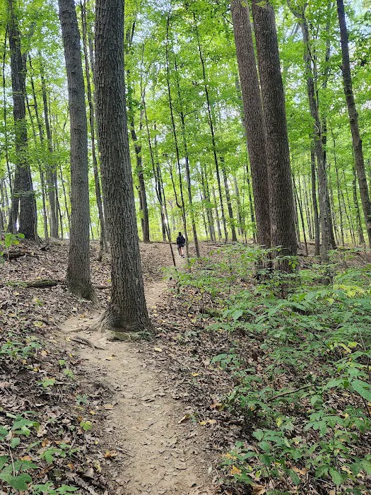 Taylor Ridge Campground 2