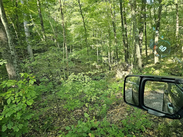 Taylor Ridge Campground 5