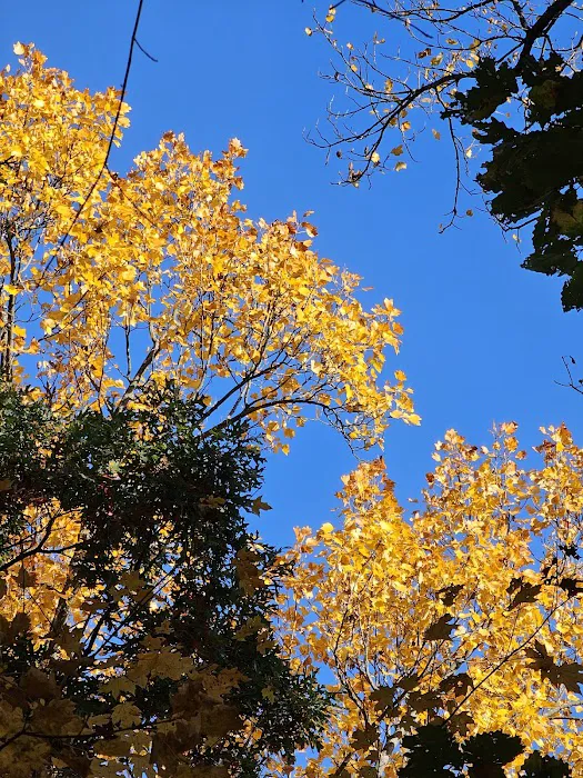 Taylor Ridge Campground 9