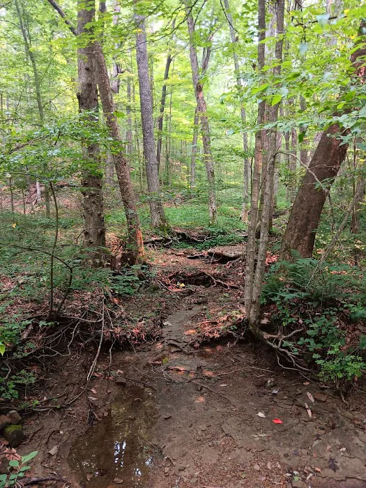 Raccoon Ridge Campground 4