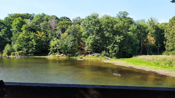Raccoon Ridge Campground 5