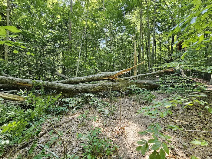 Raccoon Ridge Campground 8
