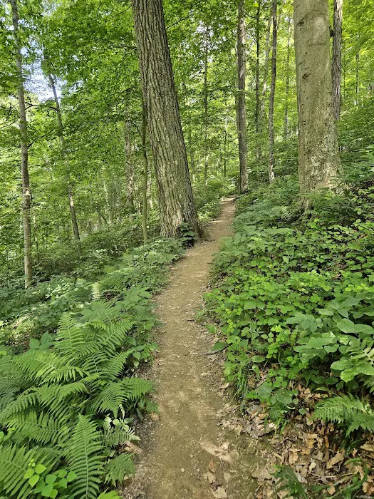Raccoon Ridge Campground 7