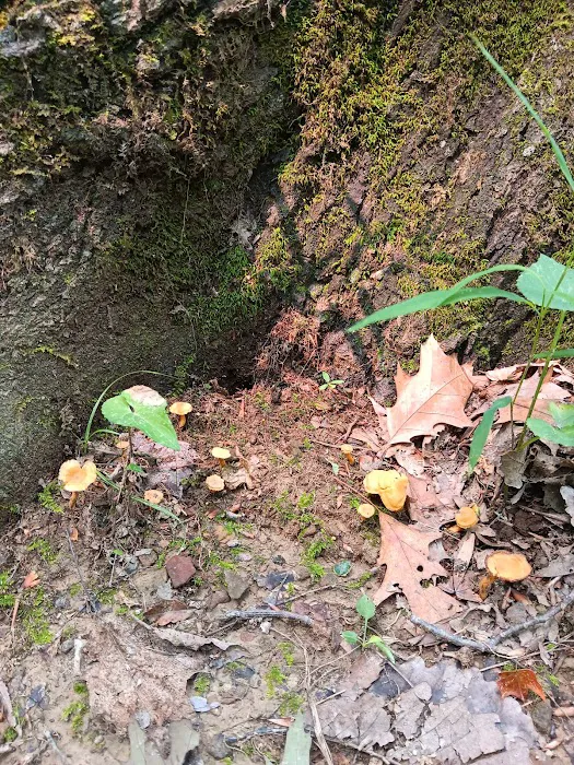 Raccoon Ridge Campground 9