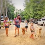 Monroe Causeway Campground