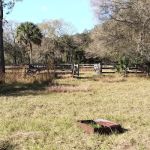 Myakka River State Park Horse Camp