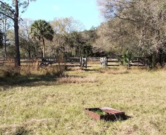 Myakka River State Park Horse Camp