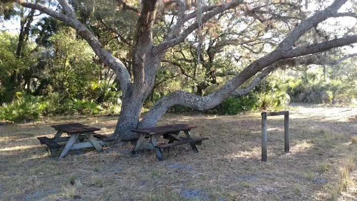 Myakka River State Park Horse Camp 3