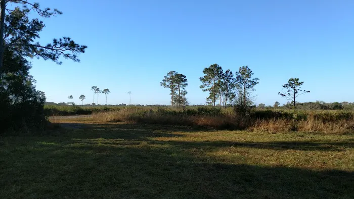 Myakka River State Park Horse Camp 2