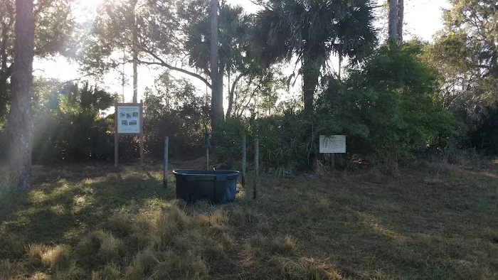 Myakka River State Park Horse Camp 5